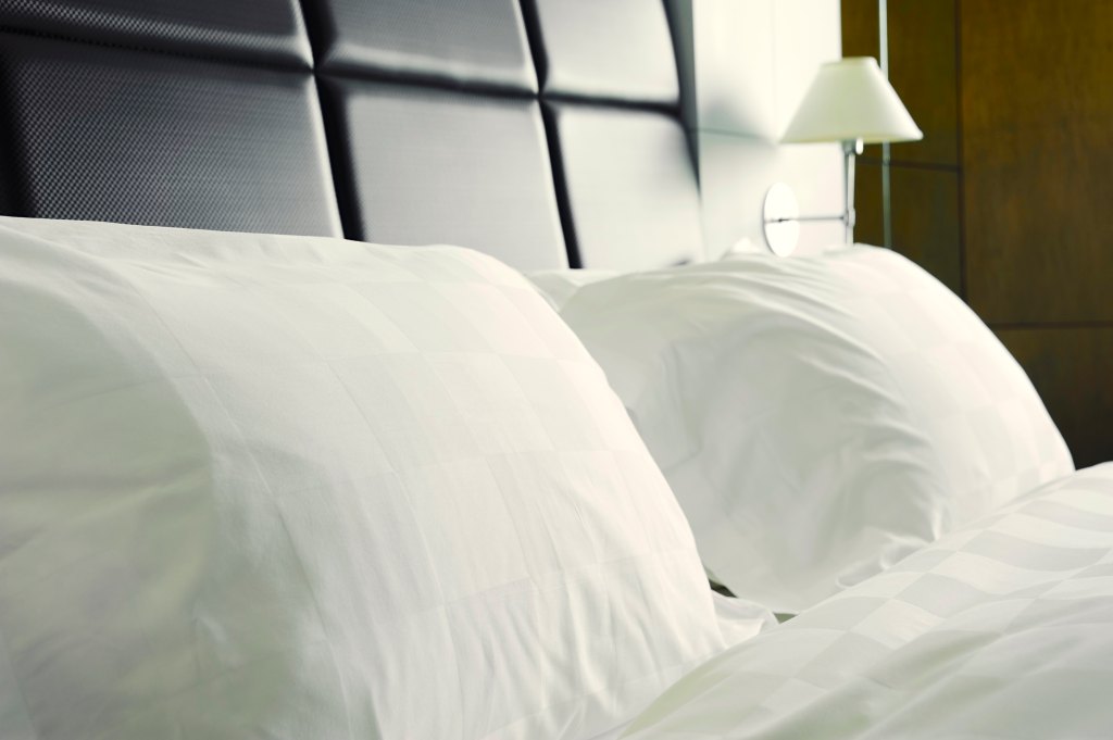 Pillowcase Germs