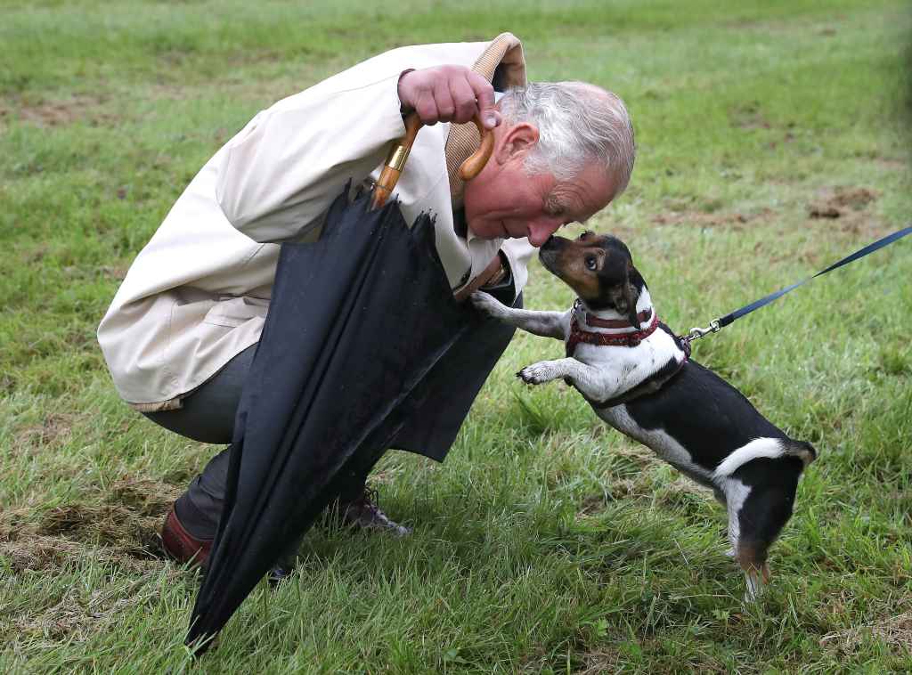 Prince Charles Dog
