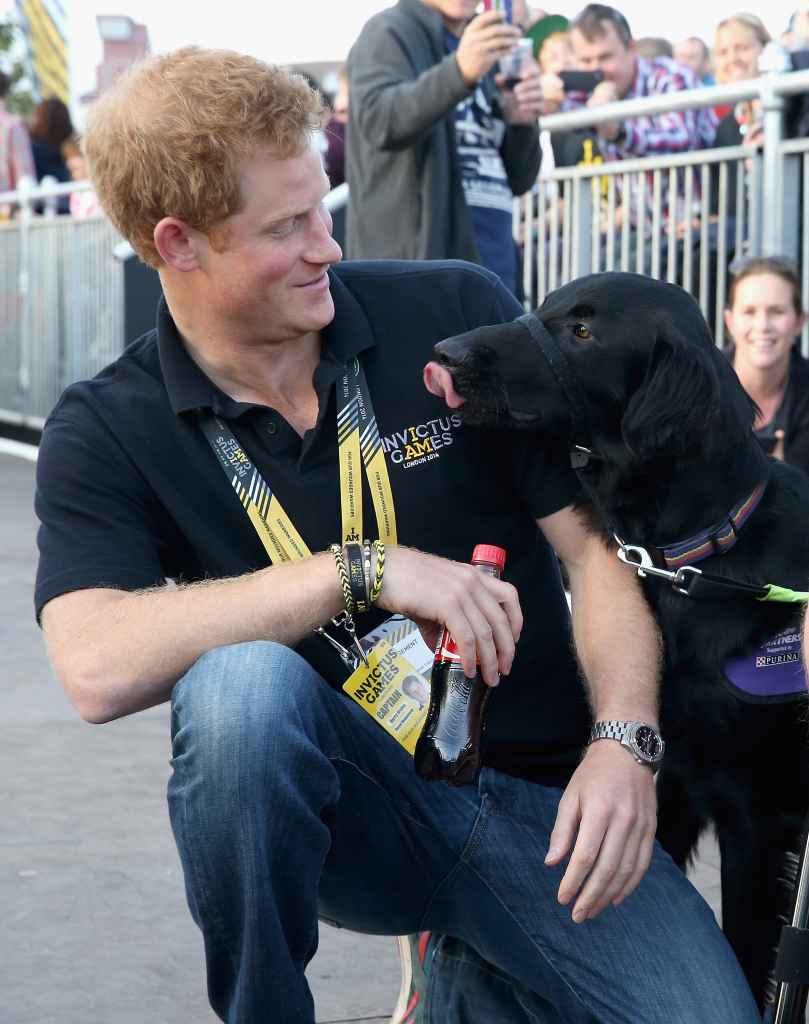 Prince Harry Invictus Games