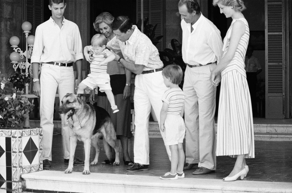 Prince Harry Riding Dog