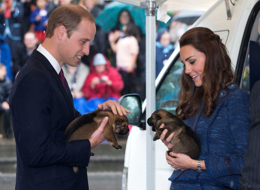 Prince William Kate Puppies