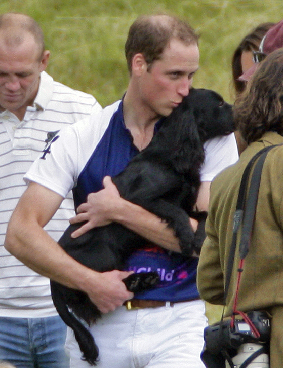 Prince William Lupo