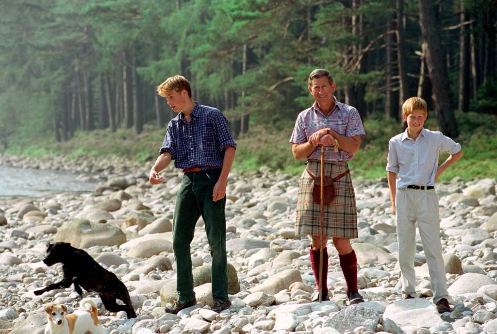 Prince William Pet Dog