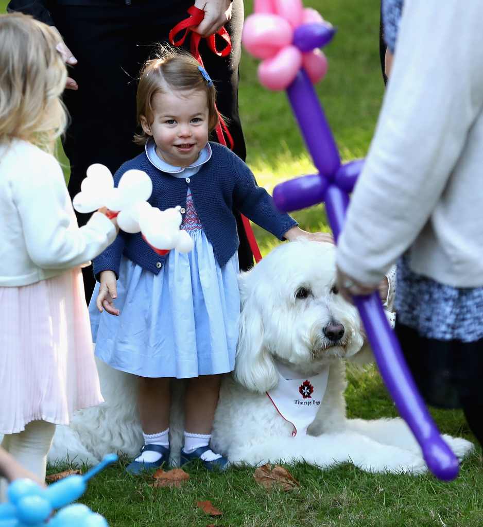 Princess Charlotte Pet Dog