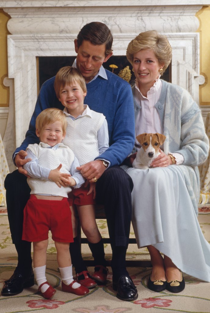 Princess Diana Family Photo