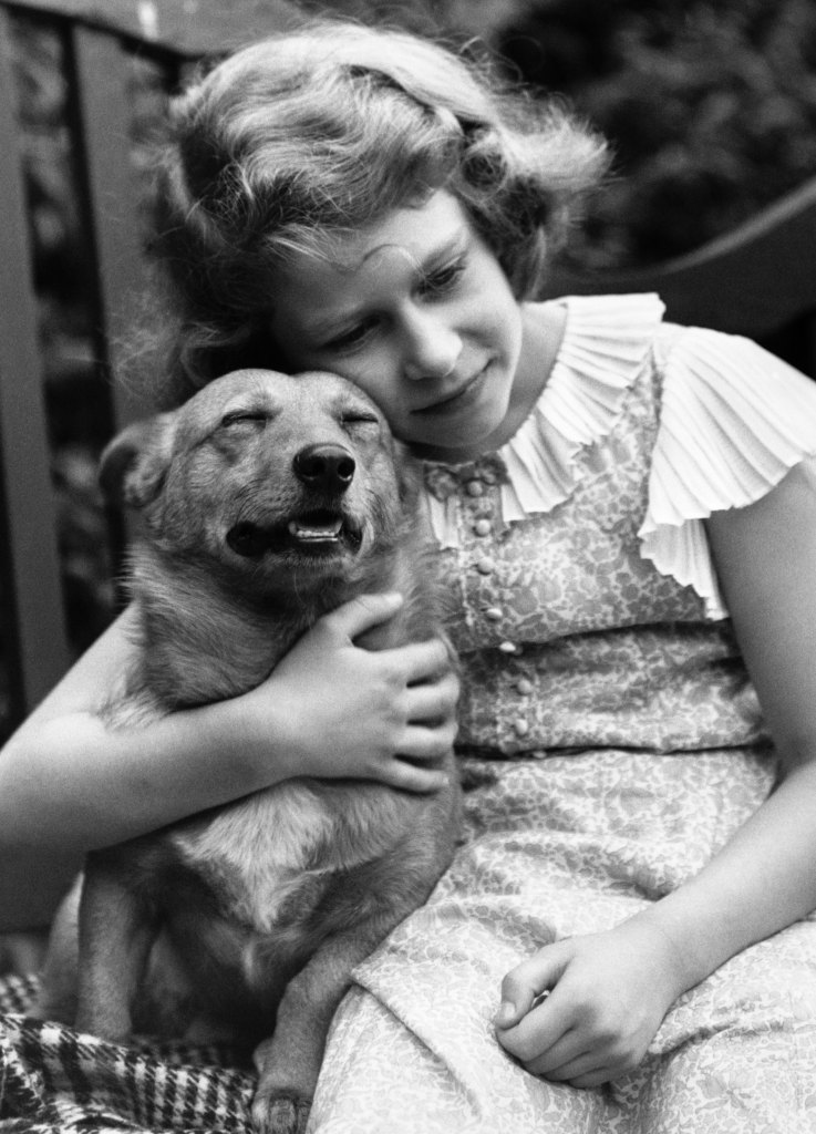 Queen Elizabeth Young Dog