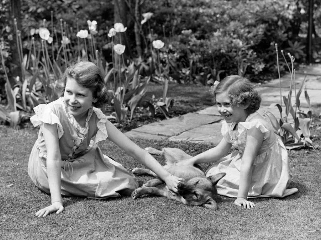 Queen Elizabeth Young