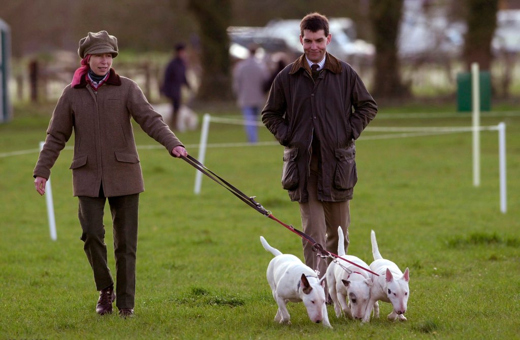 Royal Dogs 02