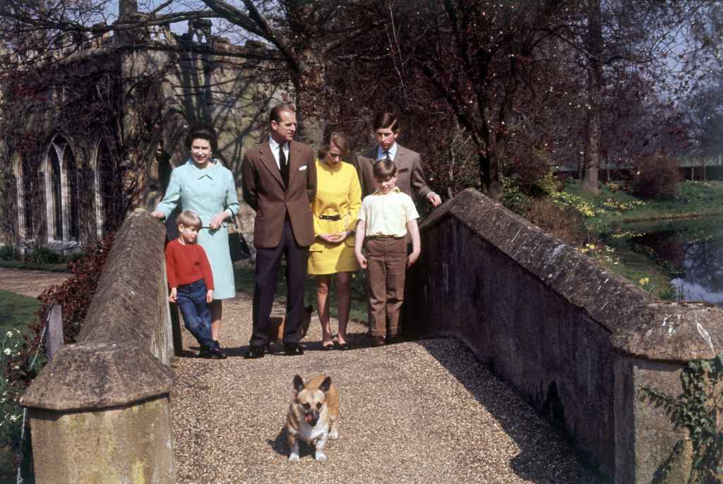 Royal Dogs 06