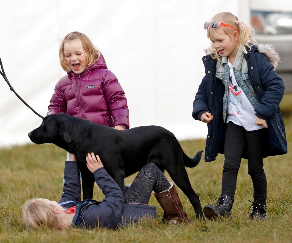 Royal Dogs 08