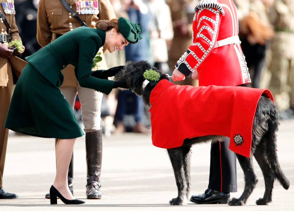 Royal Dogs 10