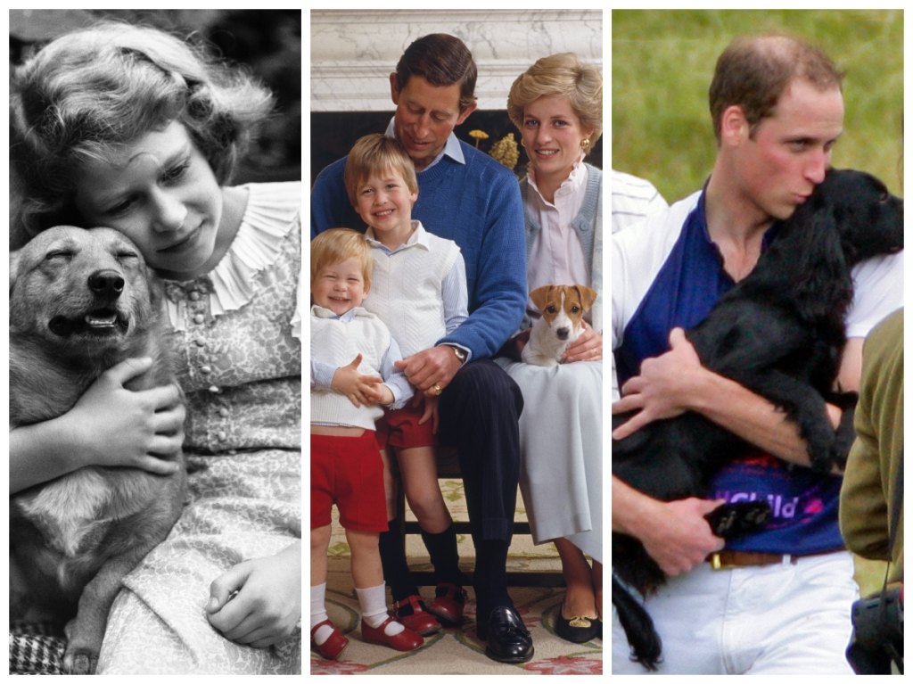 Members of the royal family with dogs