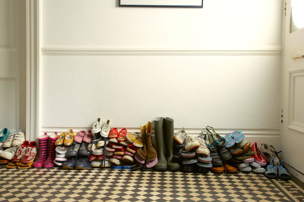 Shoe Germs