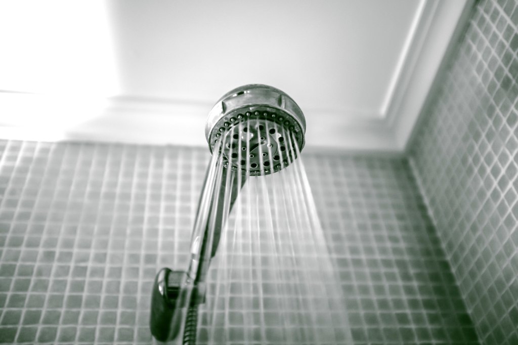 Shower Germs