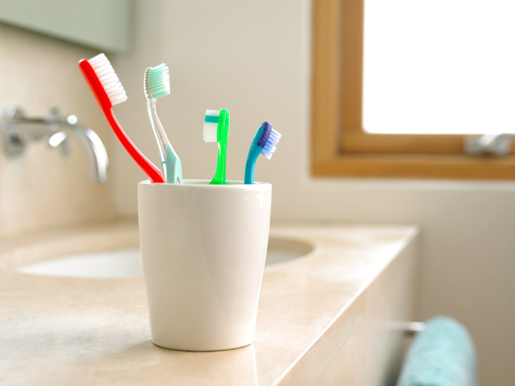 Toothbrush Germs