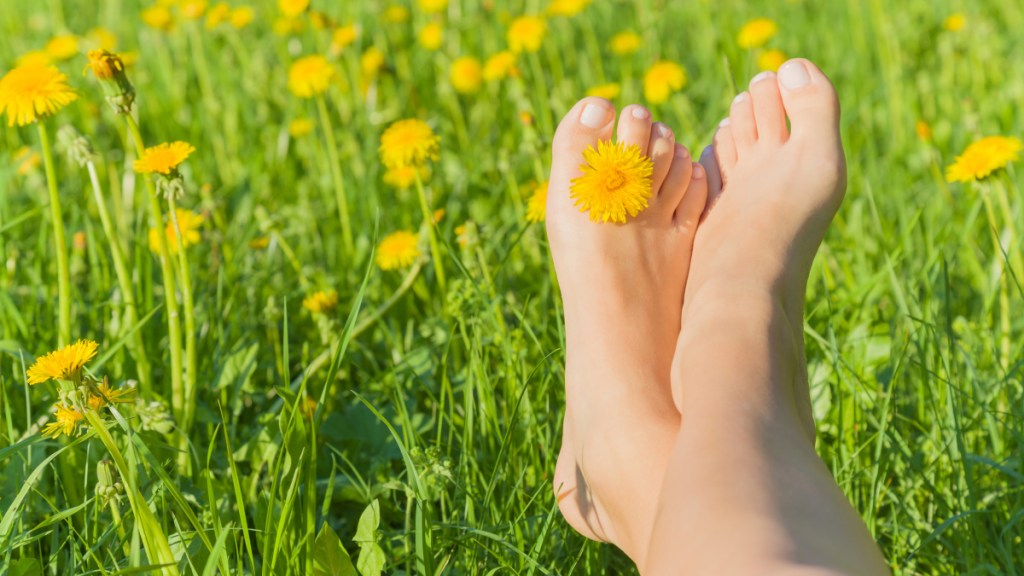 A woman's bare feet in the grass with dandelions