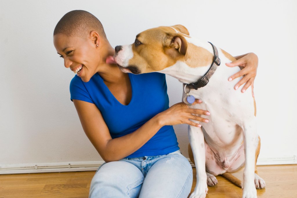 Best Dog Breeds Large