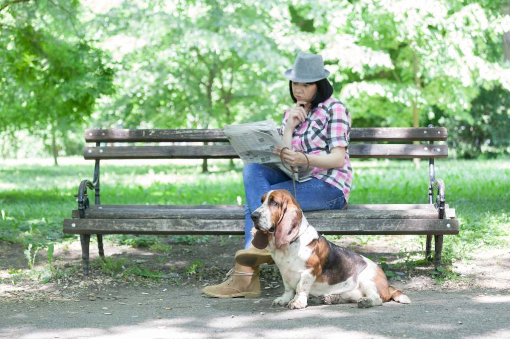 Best Dog Breeds