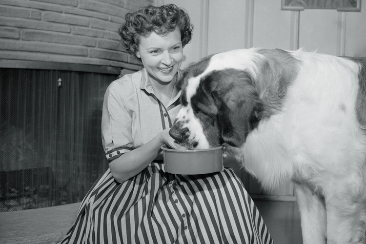 Betty White Dog