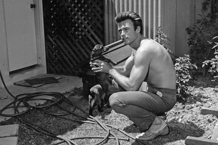 Clint Eastwood Dog