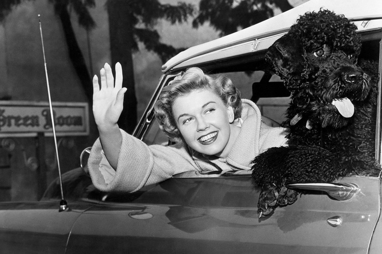 Doris Day Dog