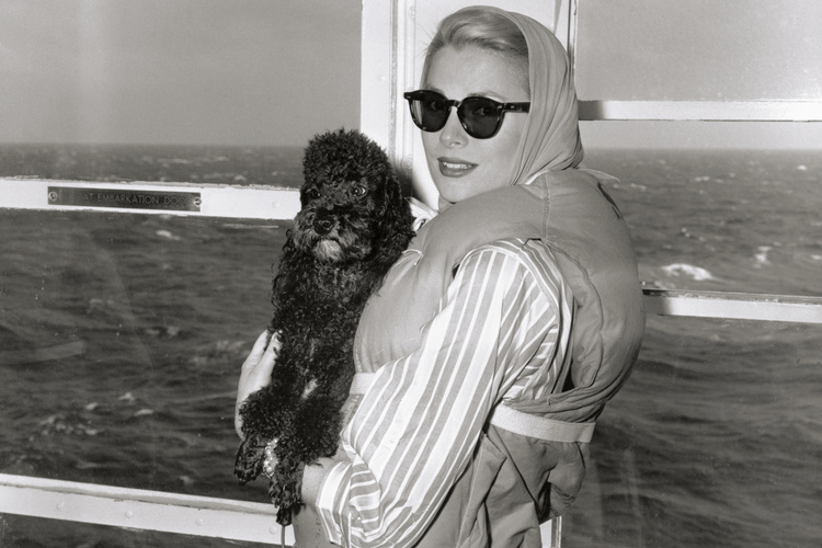 Grace Kelly Dog