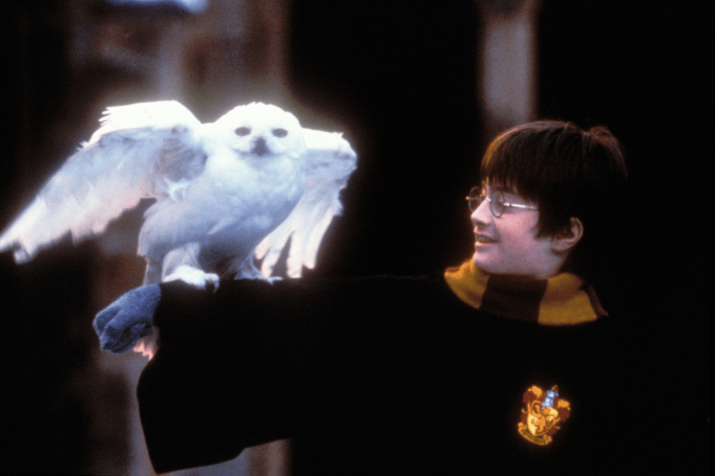 Harry Potter And The Sorcerors Stone 2001