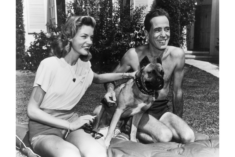 Humphrey Bogart Dog