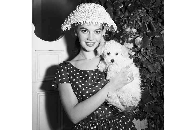 Natalie Wood Dog