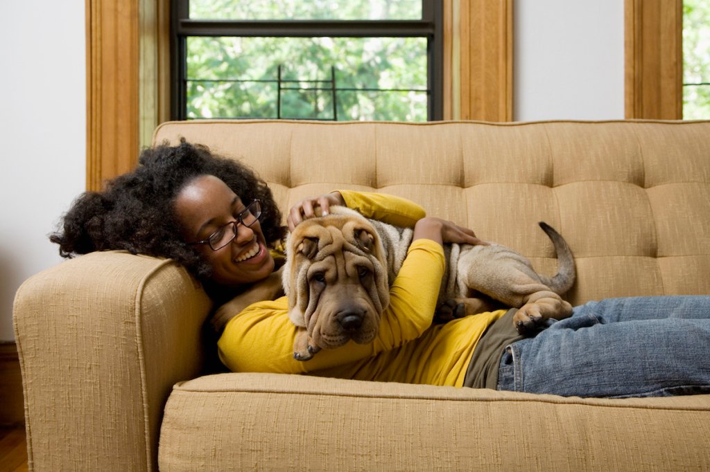 The Best Dog Breed