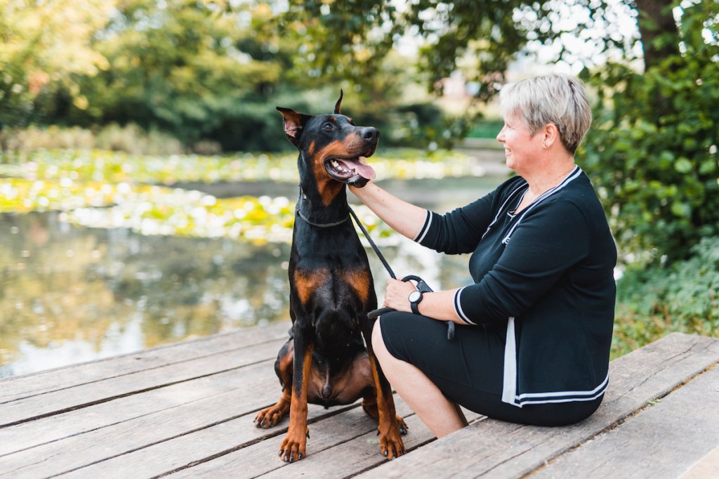 What Dog Breed Is Best For Me