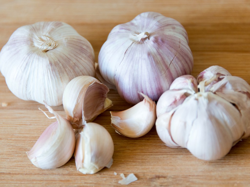 garlic bulbs on cutter