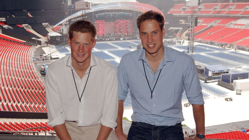 Prince William and Harry at the Concert for Diana