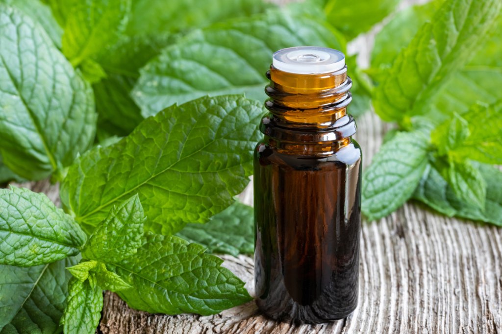 Peppermint Essential Oil
