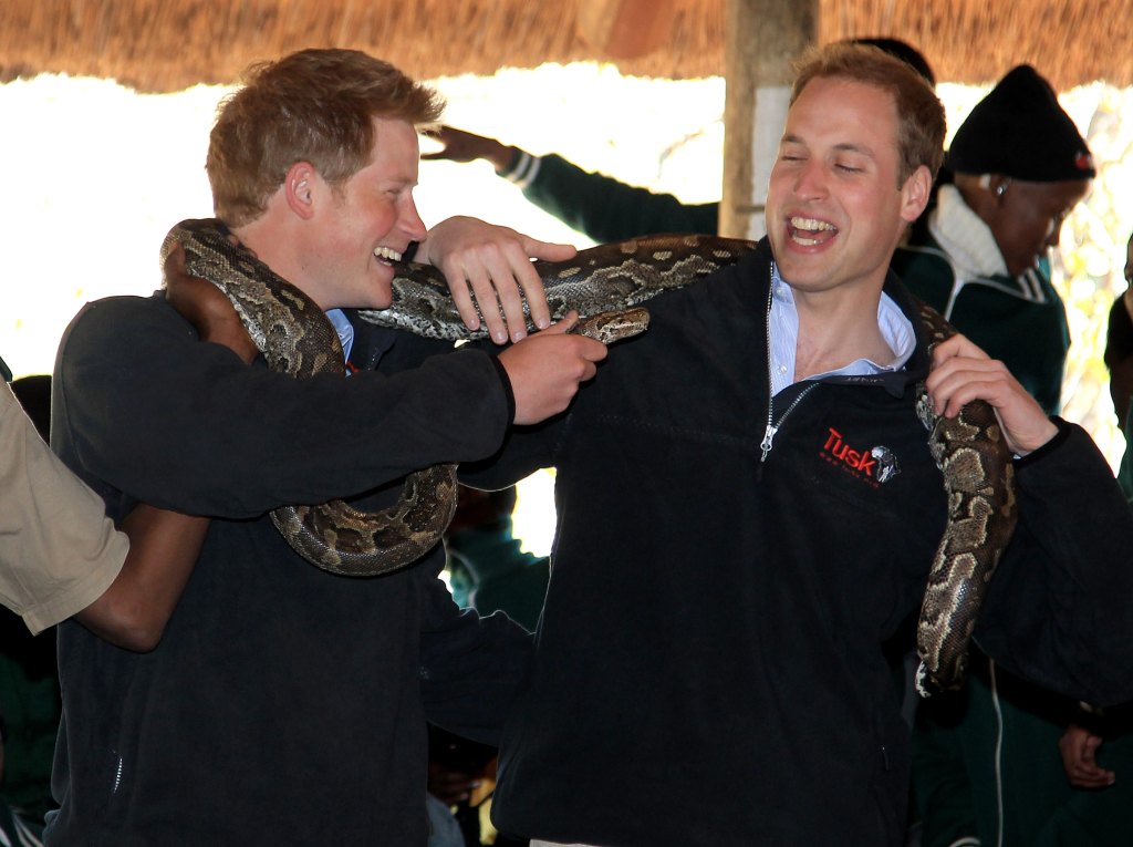 Prince Harry And William Funny