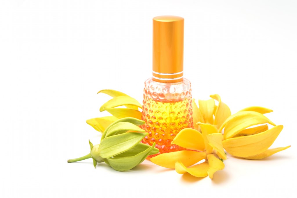 Ylang Ylang Essential Oil