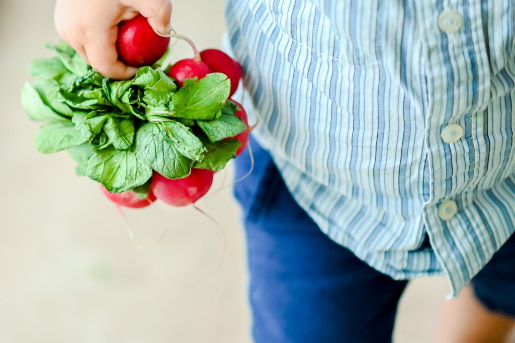 Eat a Radish