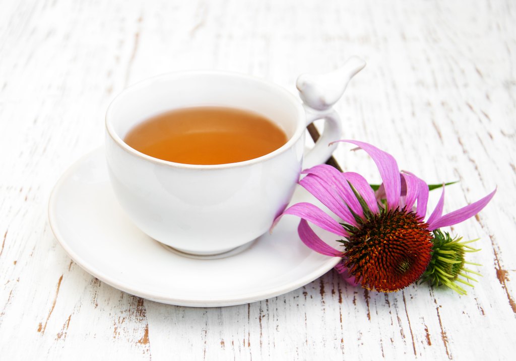 Echinacea Tea