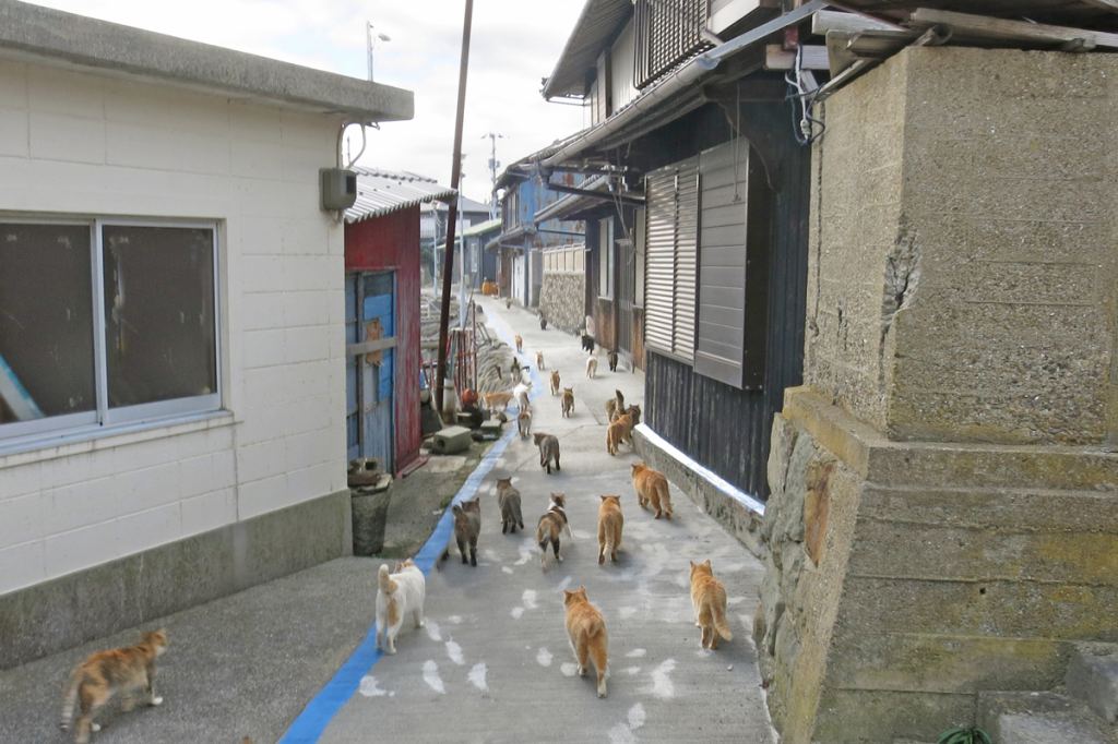 Ehime Japan