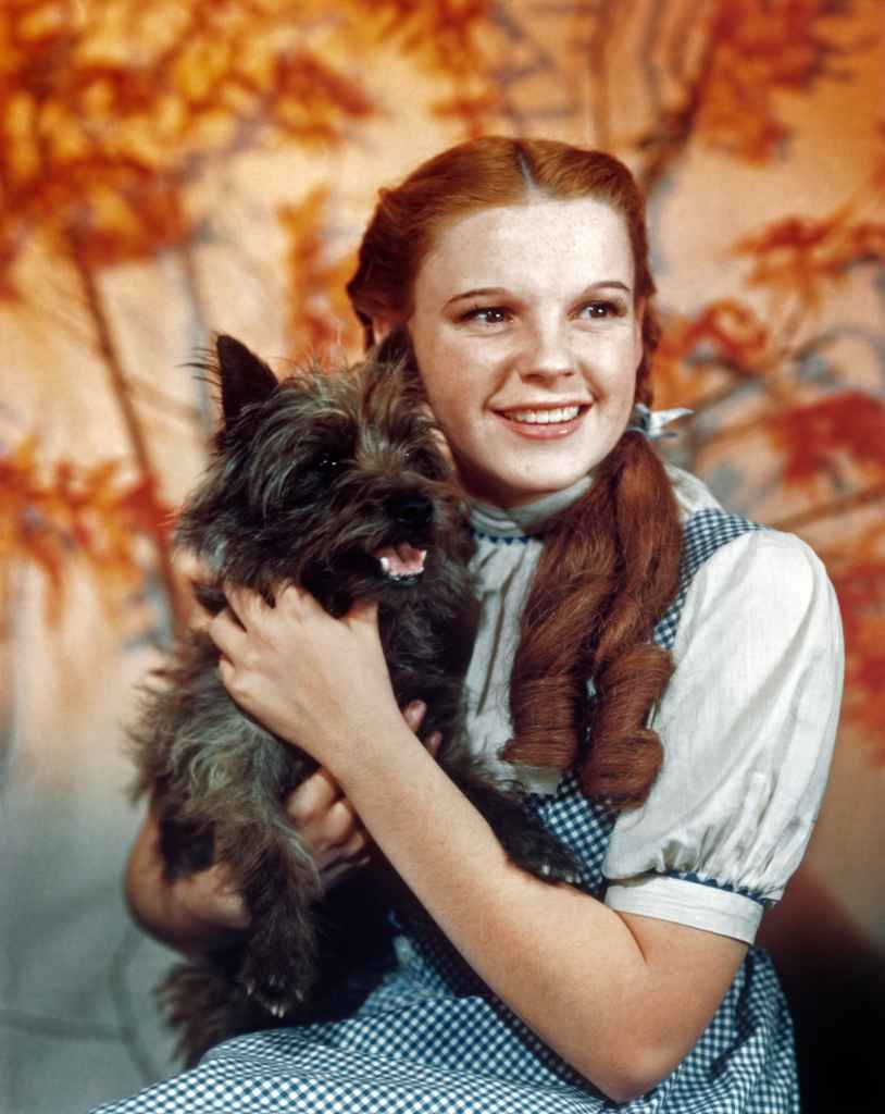 Wizard of Oz