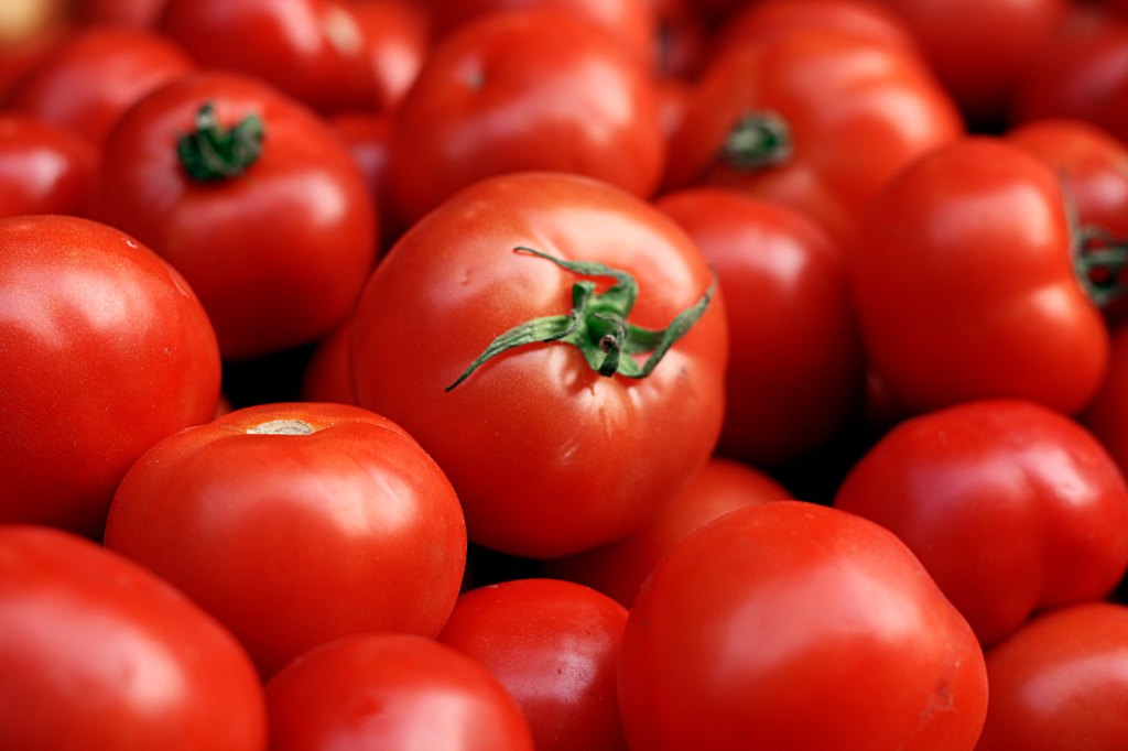 tomatoes
