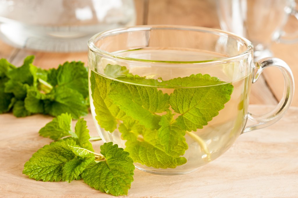 Lemonbalm Tea