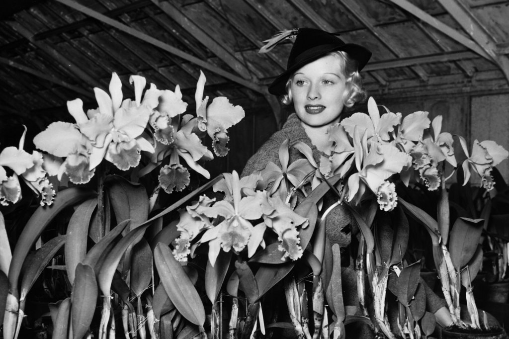 Lucille Ball Young Photos