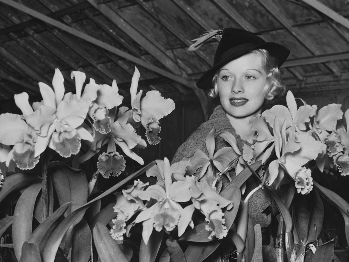 young-lucille-ball.jpg