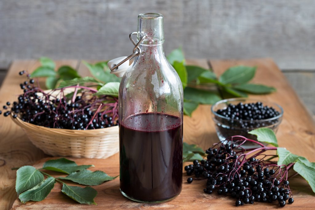 Elderberry Syrup For Colds