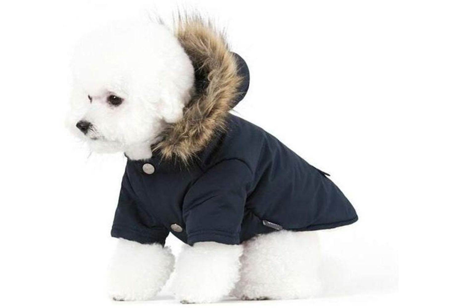 puppy winter coat