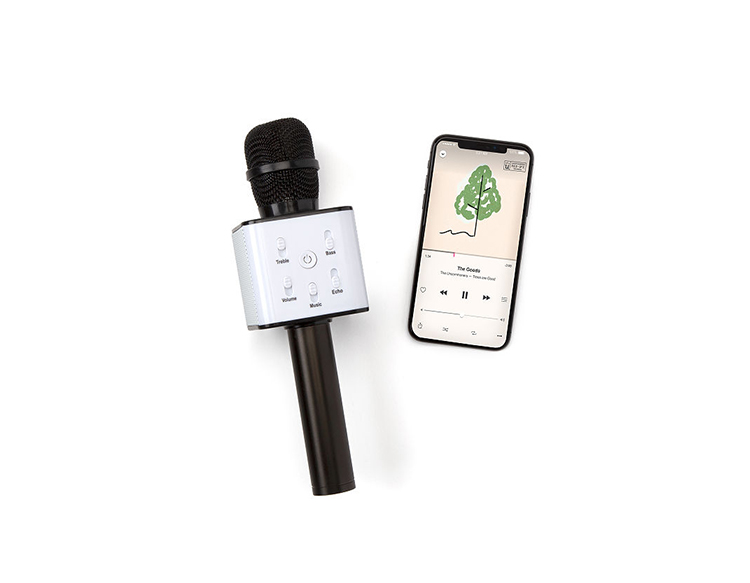 13. Best White Elephant Gift $50 — Karaoke Microphone Speaker
