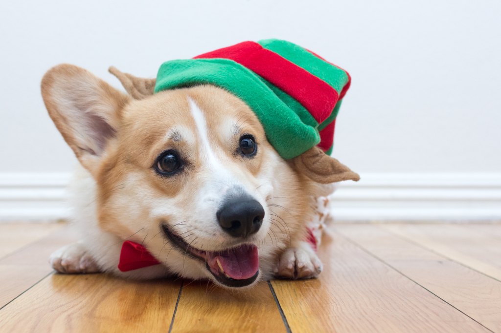 Getty Images 637220978