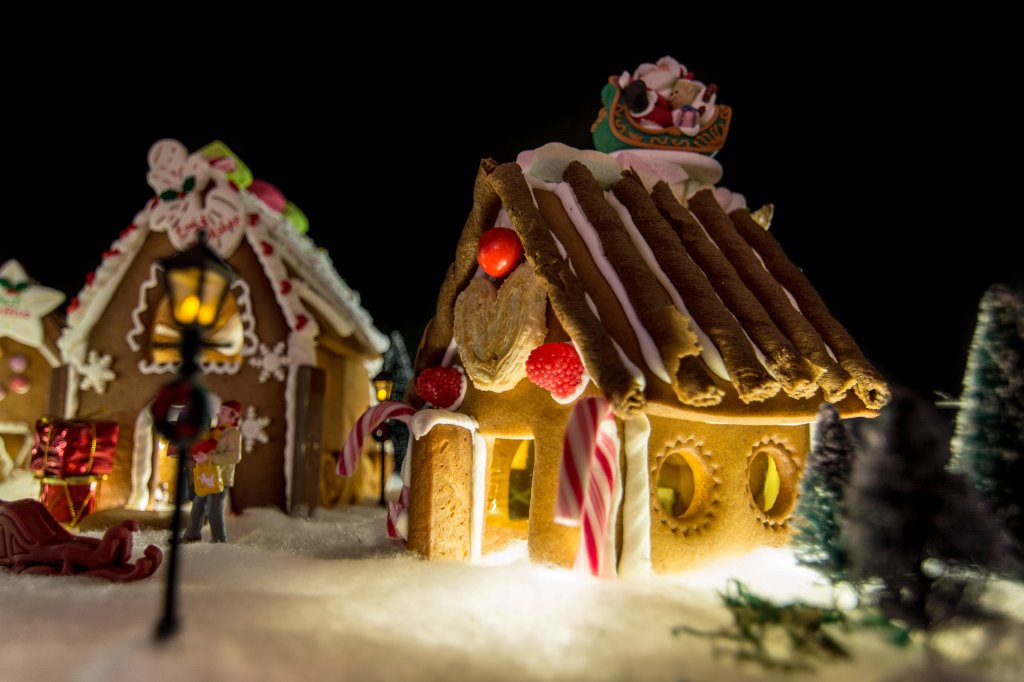 Ginger Bread House 6