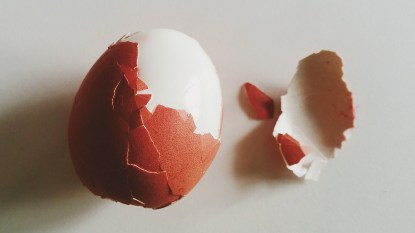 Partially peeled egg